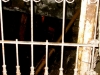 dsc02206