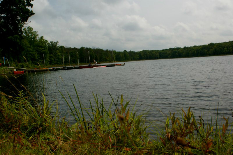 SONY DSC