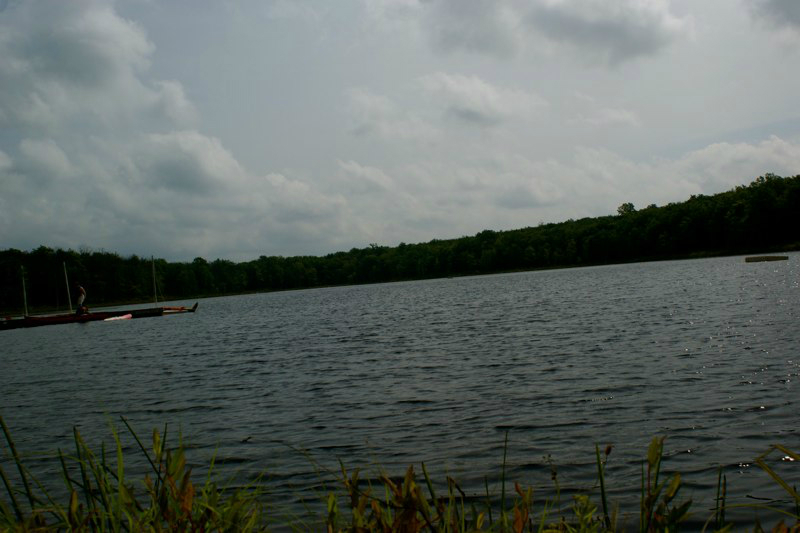 SONY DSC