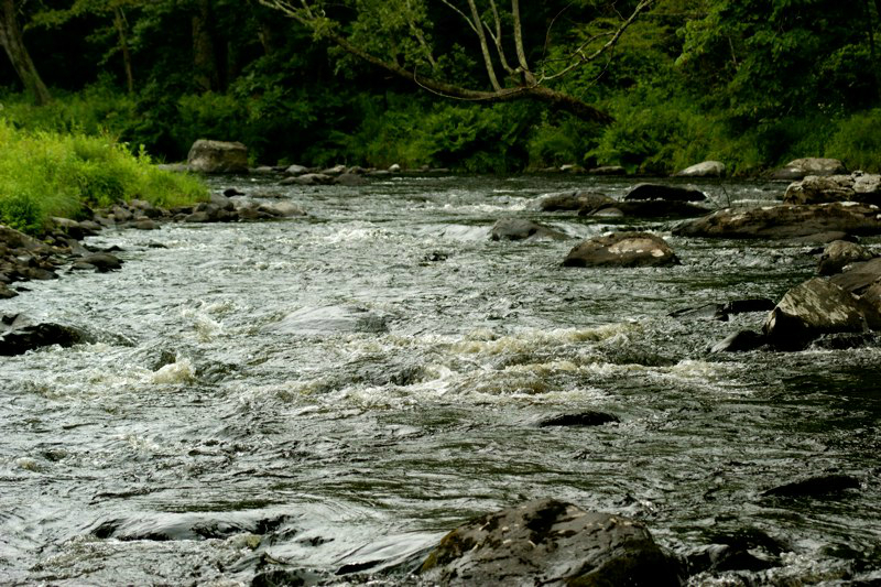 SONY DSC