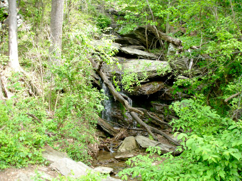 dsc05453