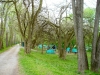 dsc05404