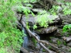 dsc_1408