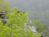 p1020981