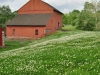 copy-dsc_1576