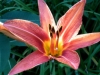 photo2-6