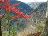 dsc00331