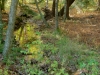 dsc00392