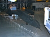2011-bs-washingtondc-104