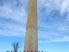 2011-bs-washingtondc-15