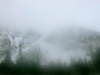 picture-201