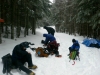 picture-230