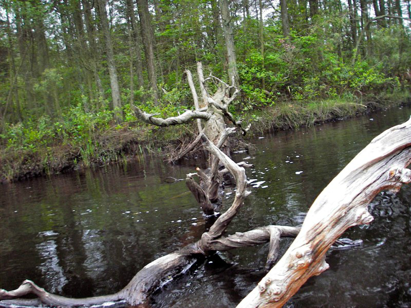 imgp0117