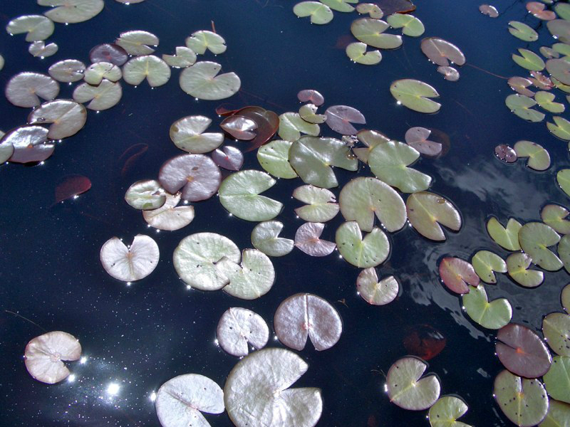 imgp1636