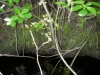 imgp0075