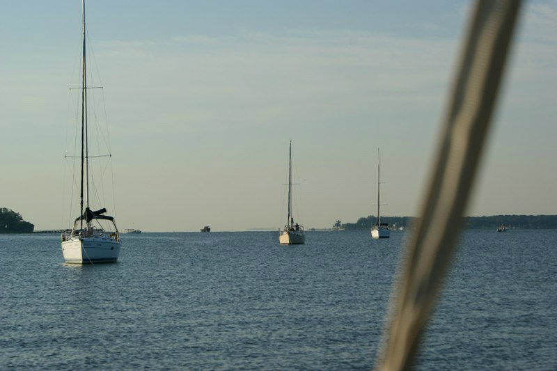 SONY DSC