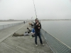 cape-henlopen-2012-081