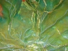 dsc02022