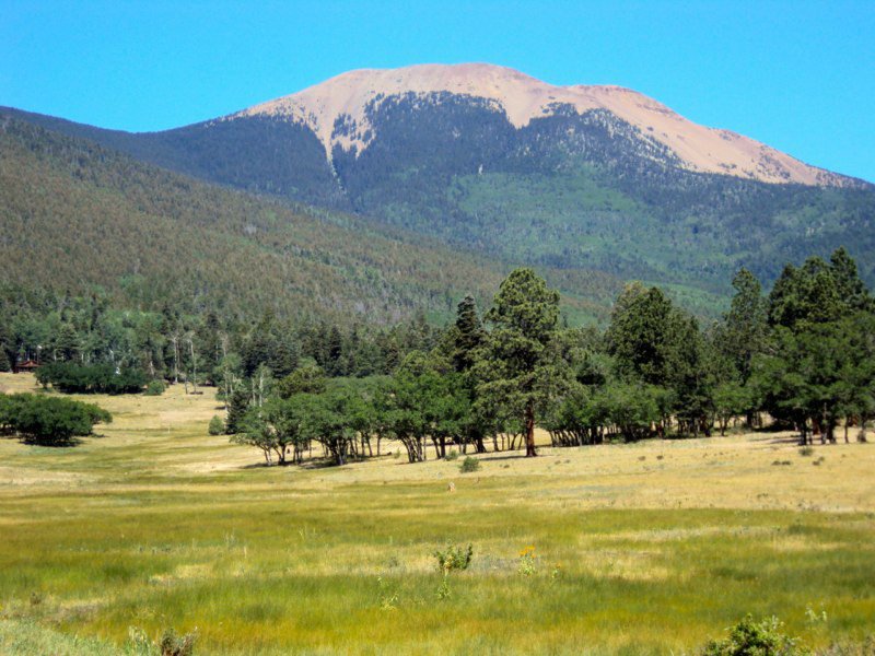 625-a-2-2012-bills-pictures-172