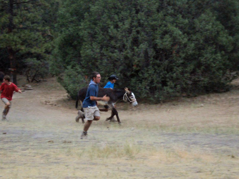 bills-pictures-392