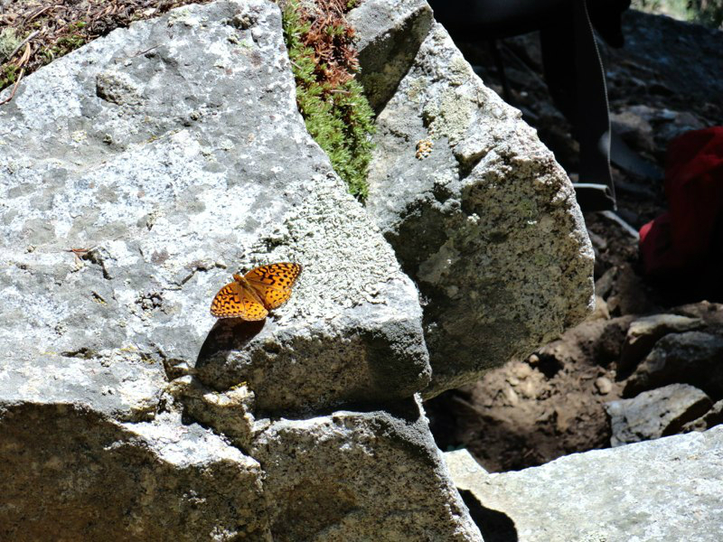 dsc01026