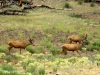 bills-pictures-285