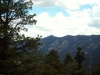 bills-pictures-569