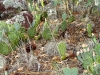 dsc00764