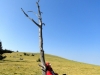 dsc01011