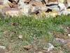 dsc01024