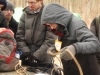 iditarod-2013-44