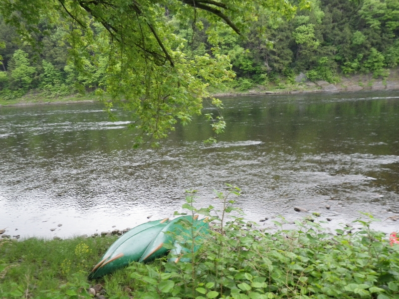 imgp0100