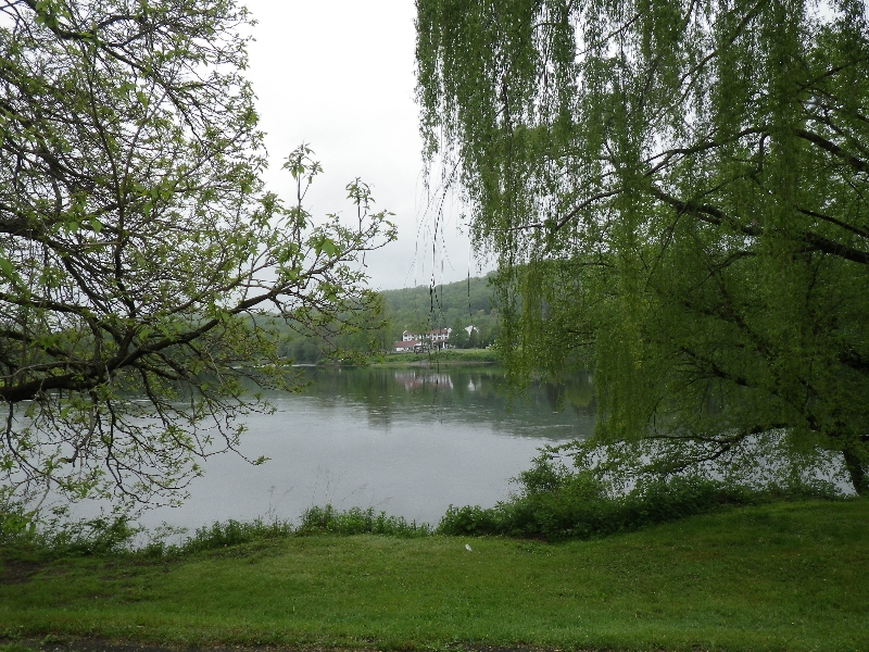 imgp0142