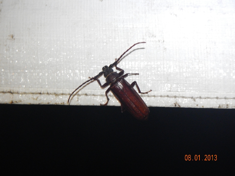 baiting-hallow-pics-16
