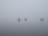 img_6713c