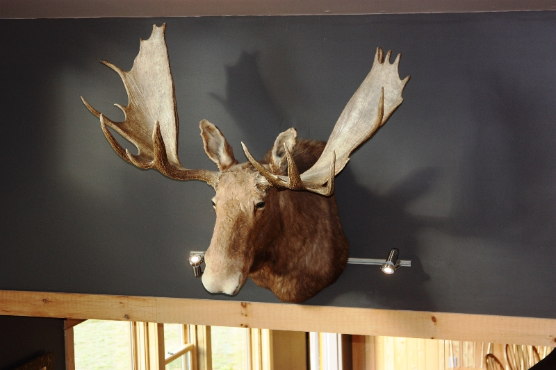 2013-allagash-trip-017