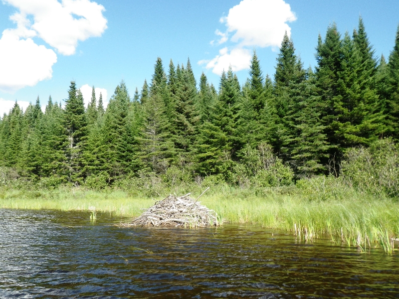 2013-allagash-trip-0208