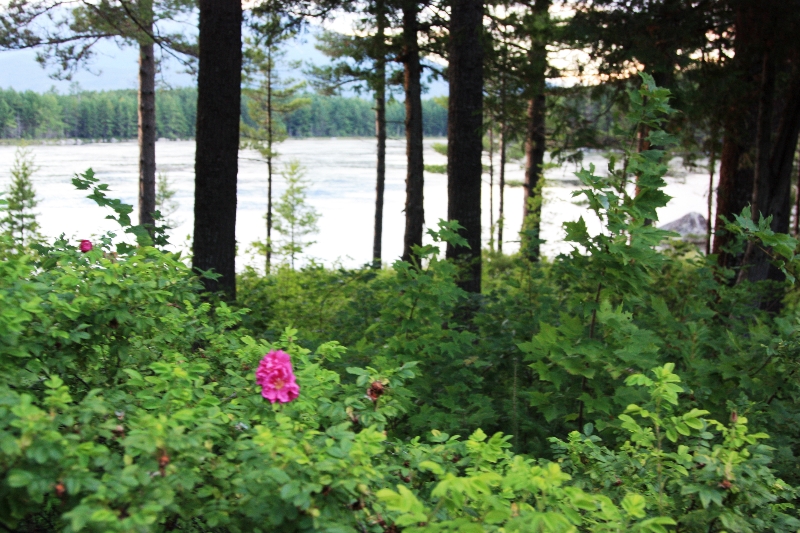 2013-allagash-trip-032