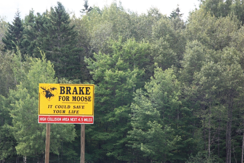 2013-allagash-trip-0382