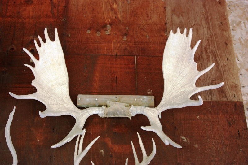 2013-allagash-trip-0393