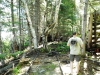 2013-allagash-trip-0115