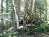 2013-allagash-trip-0116