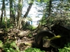 2013-allagash-trip-0129