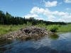 2013-allagash-trip-0132