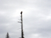 2013-allagash-trip-0305