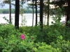 2013-allagash-trip-032