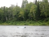 2013-allagash-trip-0334