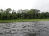 2013-allagash-trip-0346