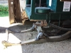 2013-allagash-trip-0387